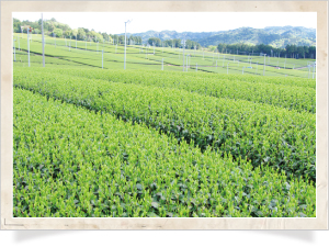 Creating together with producers